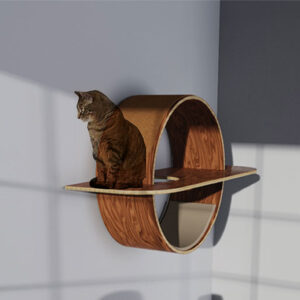 Cat House-APH-021
