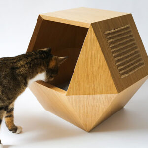 Cat House-APH-018