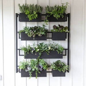 Wall Planter-GWP-002