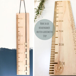 Growth Rulers-B.G.R-001