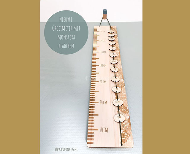 Growth Rulers-B.G.R-001 - Image 2