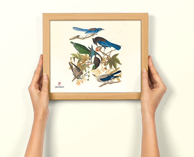 Picture Frames-H.P.F-009 - Image 4