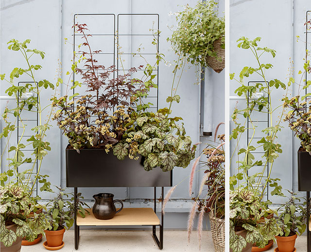 Plant Rack-GPR-003 - Image 6