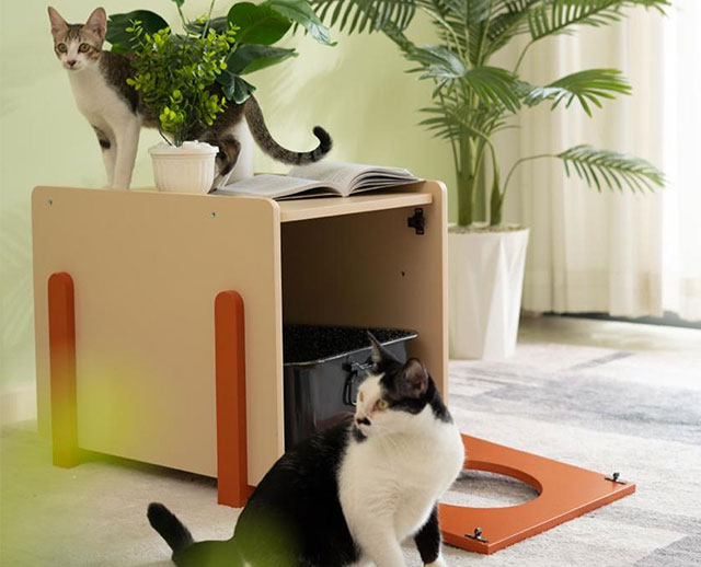 Cat House-APH-015 - Image 4